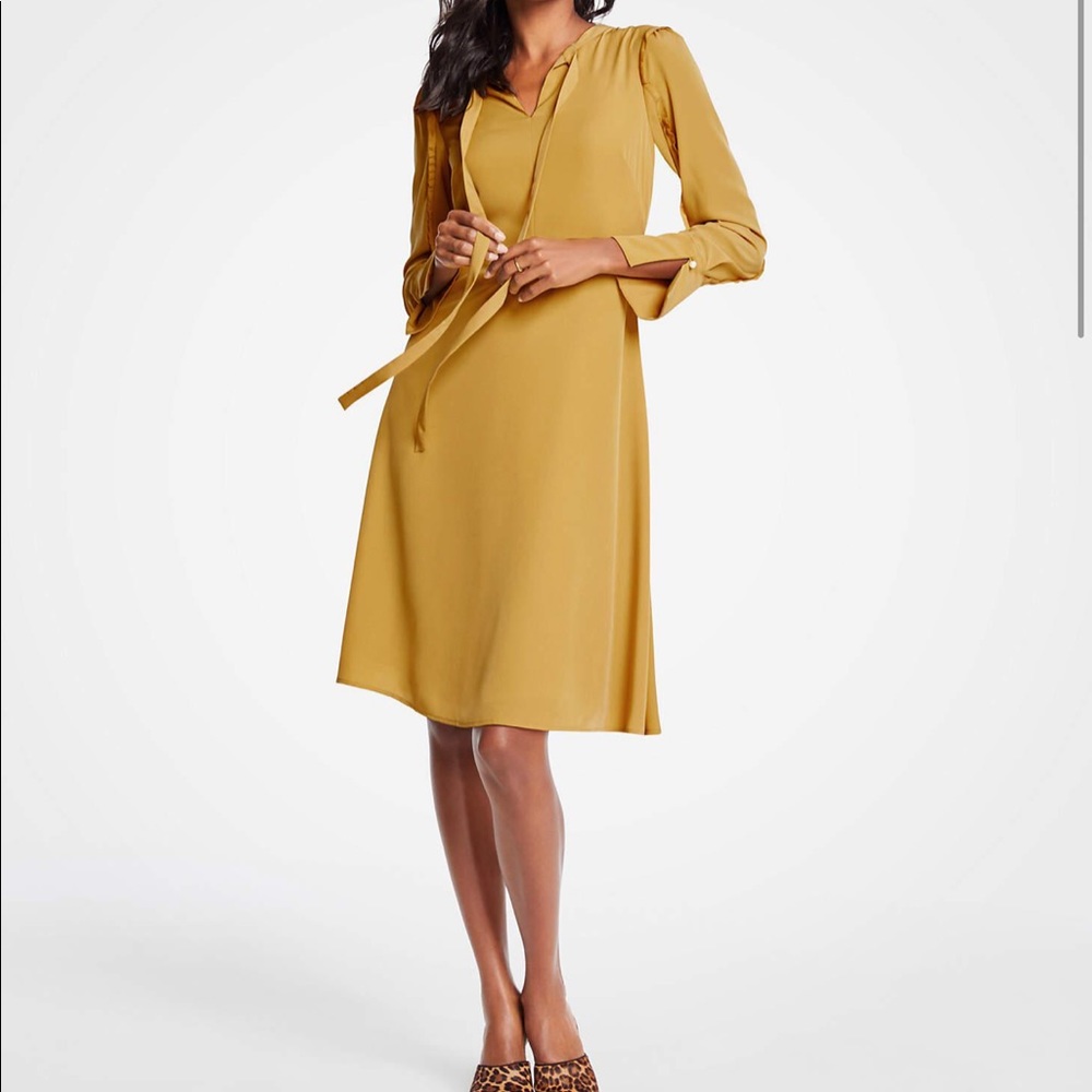 Ann Taylor Ruffle Sleeve Dress